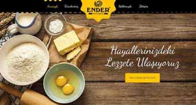 MS Ender
